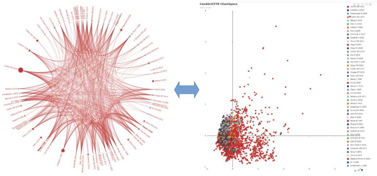 Grafik DFK Projekt 2021