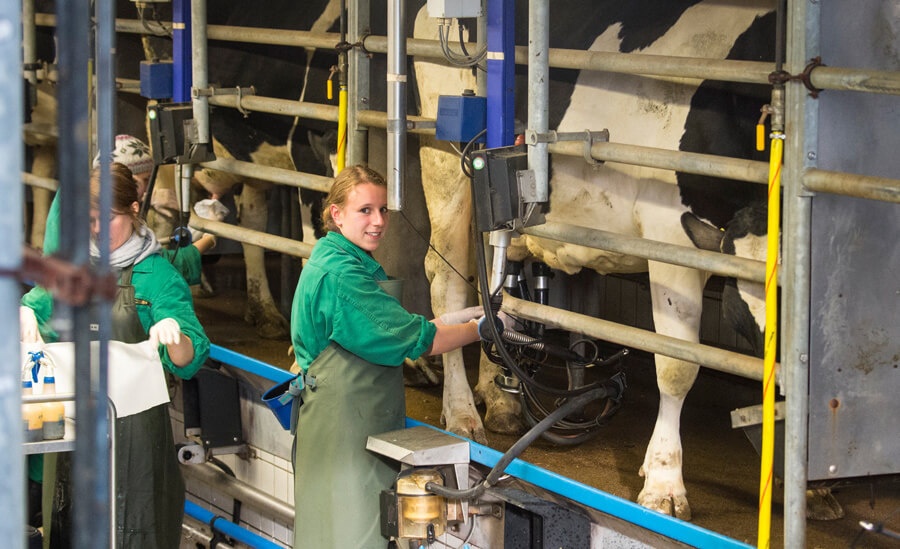 Die Molkerei des Lehr- und Forschungsguts Ruthe